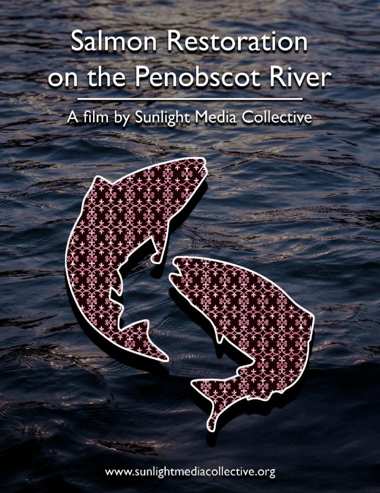 f0964ccb-88cf-a15d-0c8e-737dd73f90d1